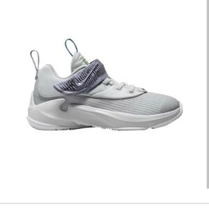 Nike Zoom Freak 3 (PS) ‘Grey‎ Frog’ Kids Sneakers Boys Size 10.5C DB4156 004